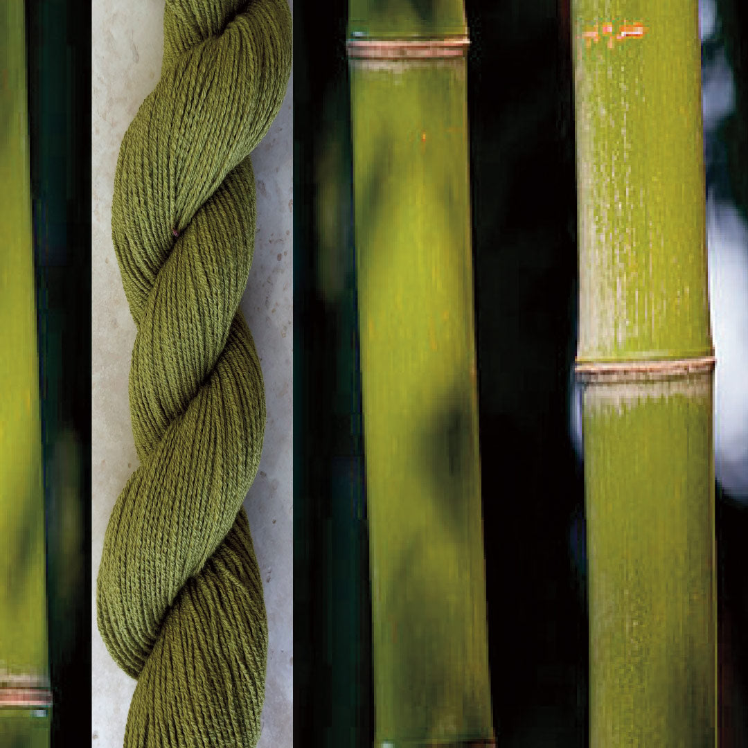 Bamboo, my new best friend.