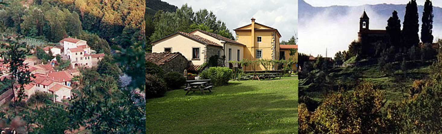 How about a Knitting Vacation in Tuscany with James?